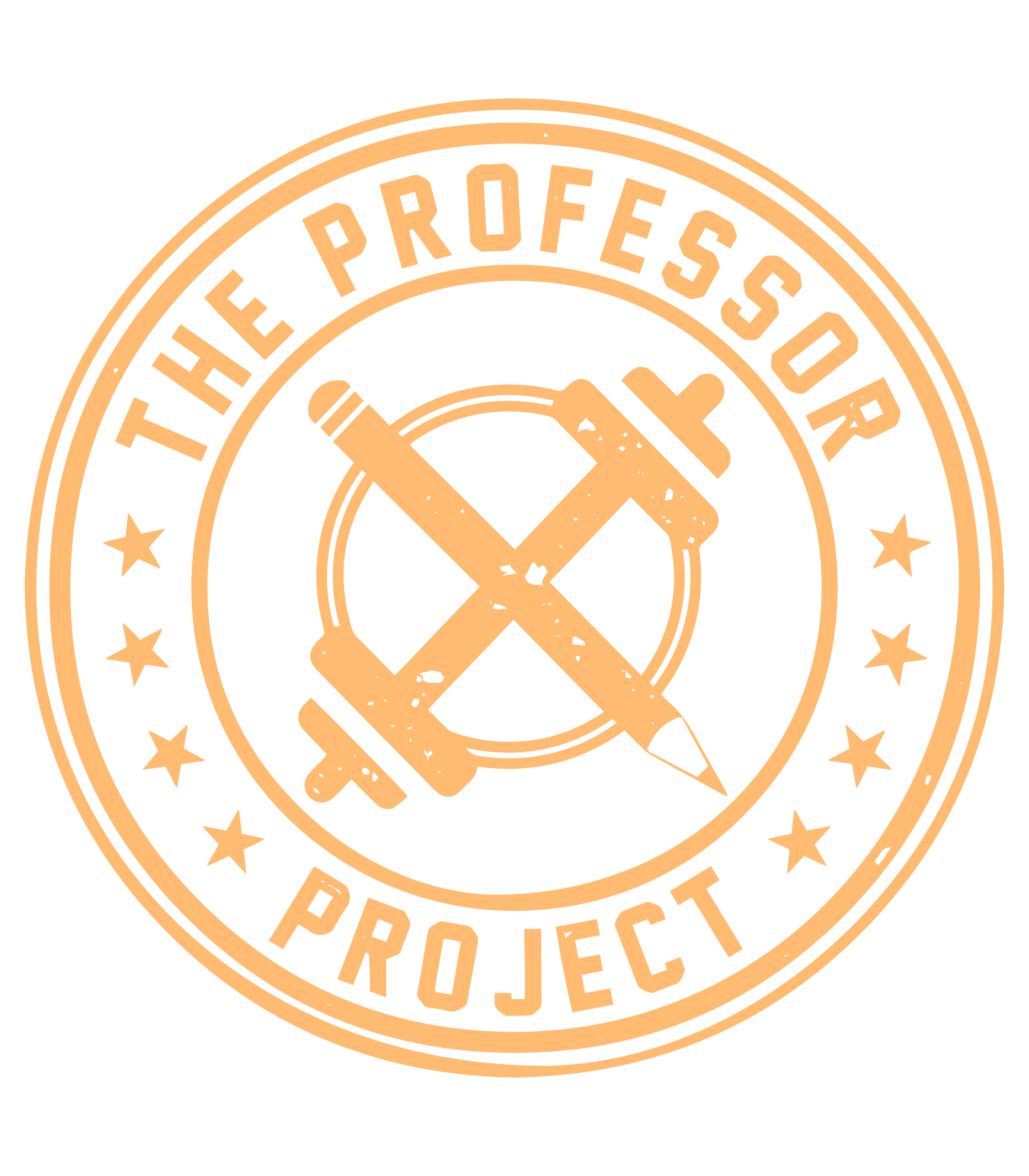 The Professor Project